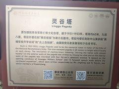 -灵谷景区