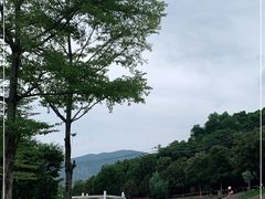 -牛岗山公园