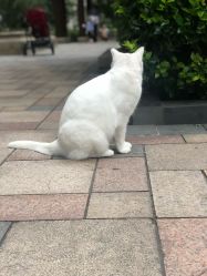 -上海市儿童医院(泸定路院区)