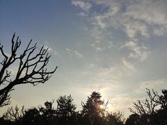 景点-黄兴公园