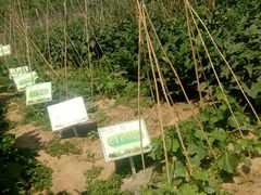 -意大利农场度假村