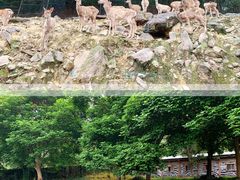 -乐和乐都主题乐园