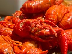 白灼小龙虾-牛New寿喜烧(中山公园龙之梦店)