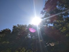 -中央音乐学院歌剧音乐厅