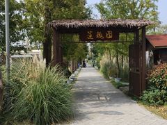 -上海长兴岛郊野公园