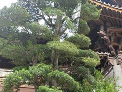 -径山寺
