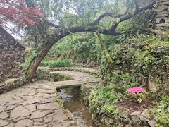 -许家山