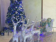 -上海崇明金茂凯悦酒店