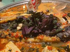 -炭舍干锅·烤鱼(扬名广场店)