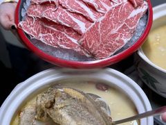 -金龙·打边炉(南京西路店)