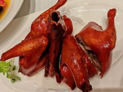 -新雅粤菜馆(南京东路店)