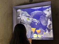 -成都浩海立方海洋公园