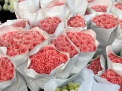 -宝鸡东道花鸟鱼虫市场(吉利花园商场店)