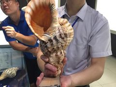 -青岛贝壳博物馆