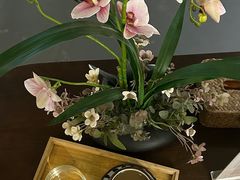 -施奈儿.洗头頭療.按摩SPA.采耳(上梅林店)