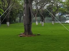 -白鹭洲公园
