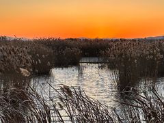 -野鸭湖国家湿地公园