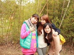 -艾溪湖湿地公园