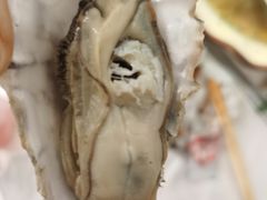 -海帮主·蒸汽海鲜青岛菜(栈桥火车站店)