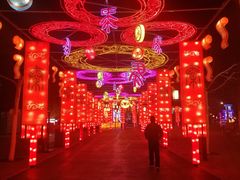 -青岛方特梦幻王国