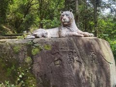 -长沙黑麋峰国家森林公园