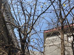 -北京市鼓楼中医医院(北院区)