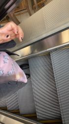 -日本普洛莱茜尔美睫美甲