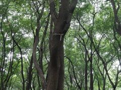 -马王堆汉墓遗址