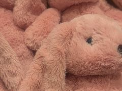 -TOYSRUS玩具反斗城(合肥华润万象城店)