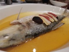 花雕蒸鲥鱼-新光酒家·河豚·海鲜·蟹料理(浦东店)