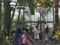 -北京植物园-展览温室