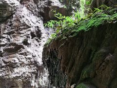 -龙水峡地缝景区