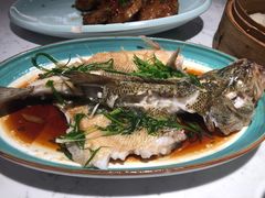 -大榕树下顺德菜(融创茂店)