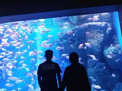 -成都浩海立方海洋公园