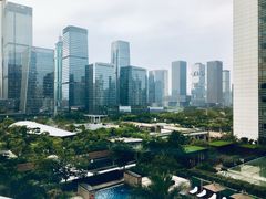 -深圳星河丽思卡尔顿酒店