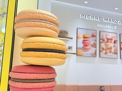 -Pierre Marcolini(德基广场店)