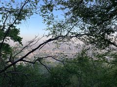 -紫金山山顶公园