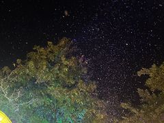 -三水森林公园孔圣园