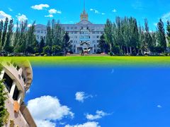 -黑龙江大学