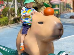 -大连森林动物园