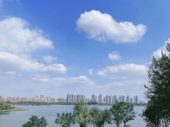 -盘龙城国家考古遗址公园