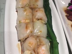 -南枝记