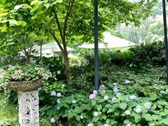 景点-静安公园(静安寺街道)