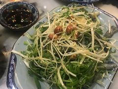-海王老记