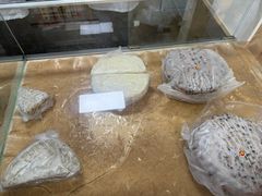 -杨招娣糕点(装驾桥巷店)