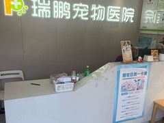 -瑞鹏宠物医院•异宠•宠保定点•流浪定点救助宠物医院(青祁店)