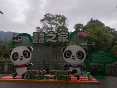 -中国大熊猫保护研究中心雅安碧峰峡基地