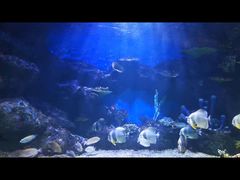 -华夏文旅海洋公园