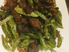 -九毛九西北菜(大东海店)