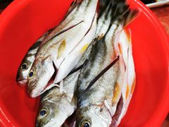 -蚝乡农庄(铁涌赤岸店)